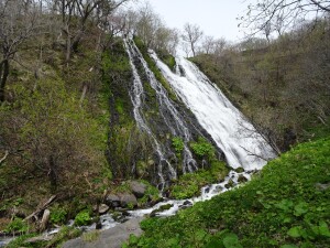 5日目　オシンコシンの滝